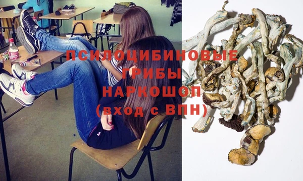 ГАЛЛЮЦИНОГЕННЫЕ ГРИБЫ Карталы