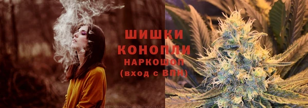 ГАЛЛЮЦИНОГЕННЫЕ ГРИБЫ Карталы